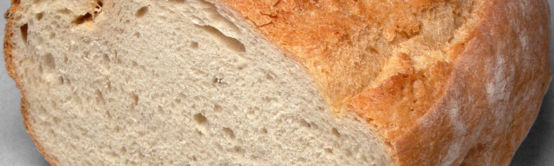 Miga de pan
